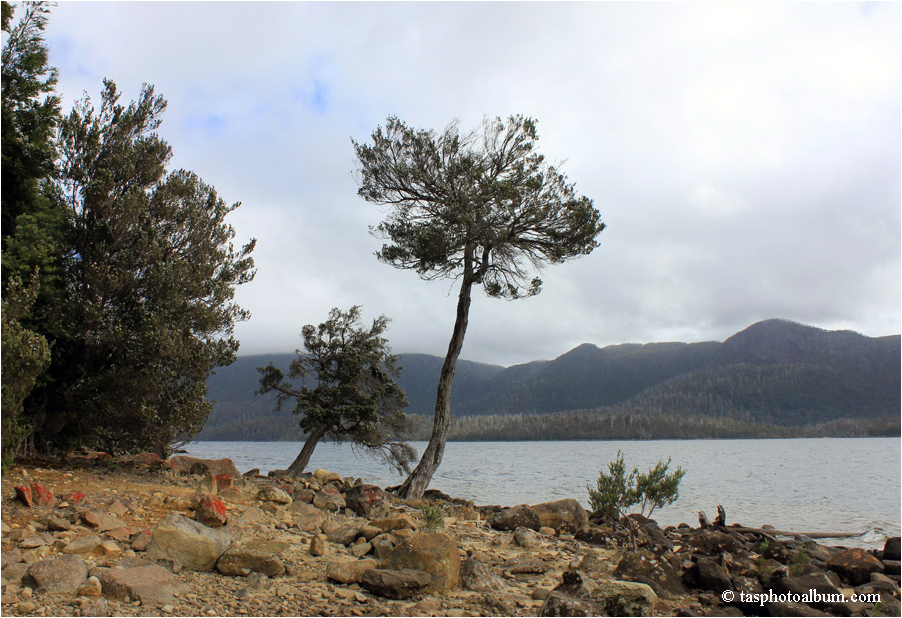 Lake St Clair Echo Point Tasmania